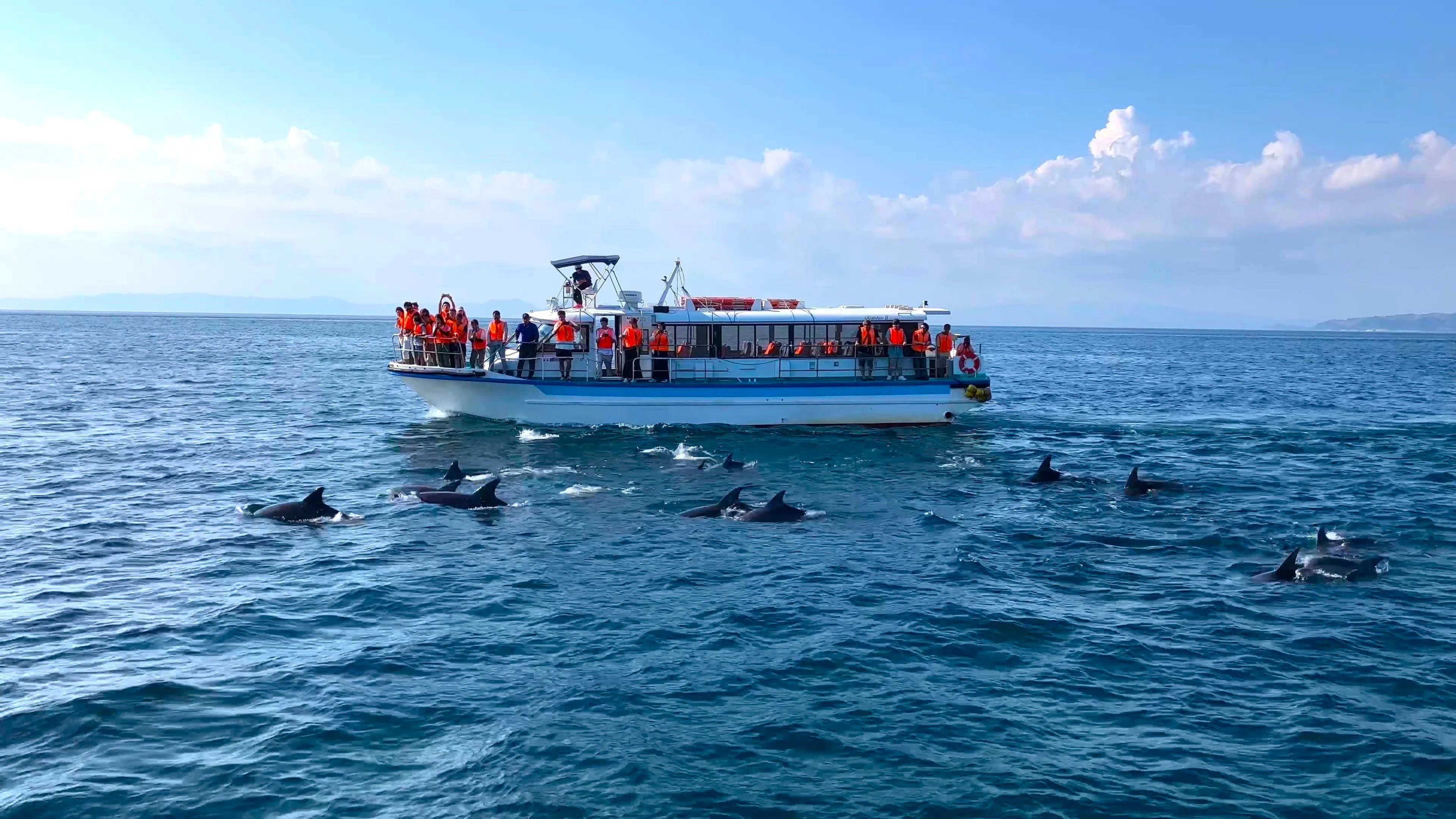 🛍️ 나의 길 아마쿠사 (미오 카미노 아마쿠사)